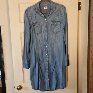 Denim Button-Up Shirt Dress